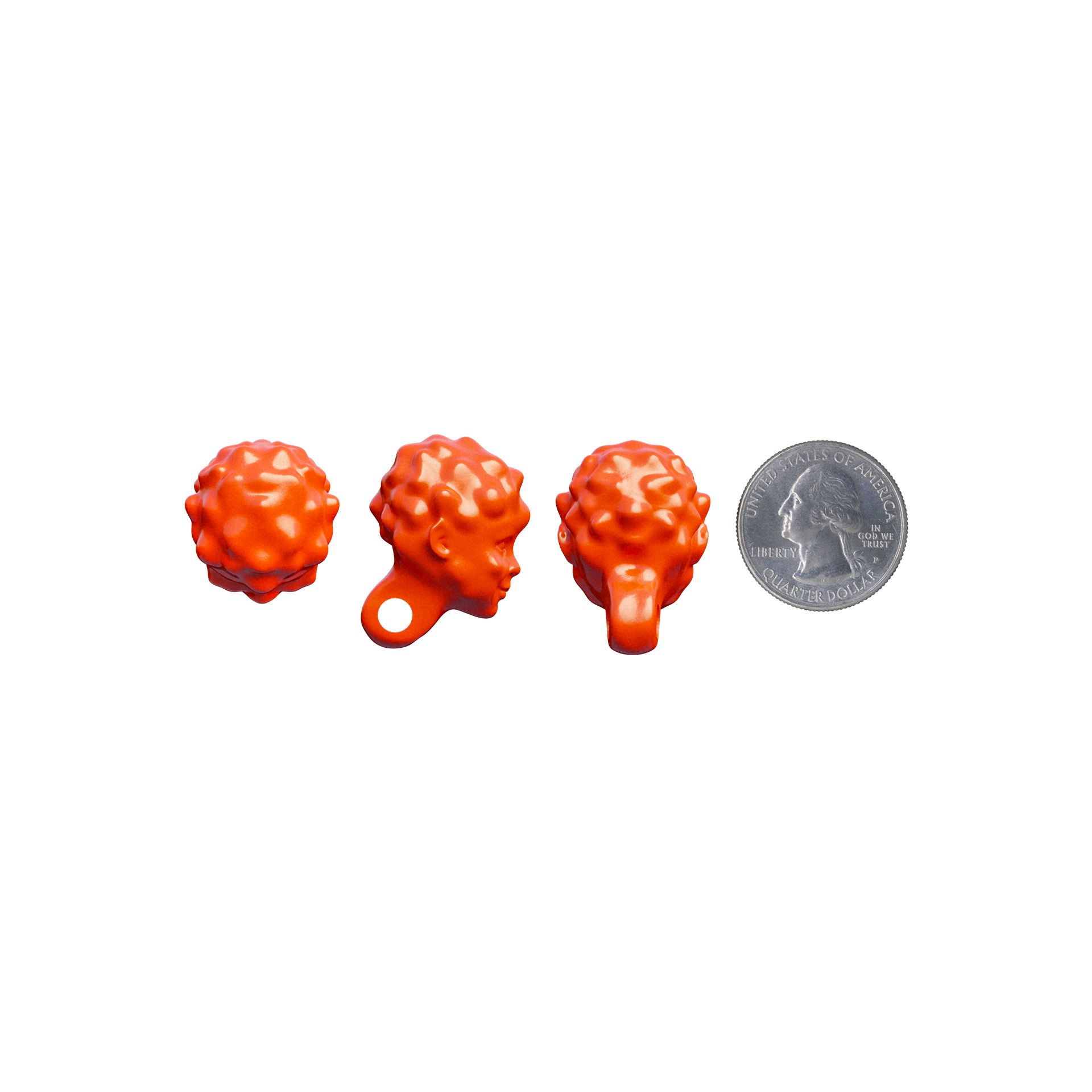 baby turb - CORAL